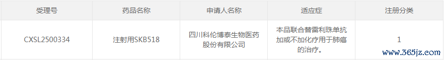 开头:CDE官网